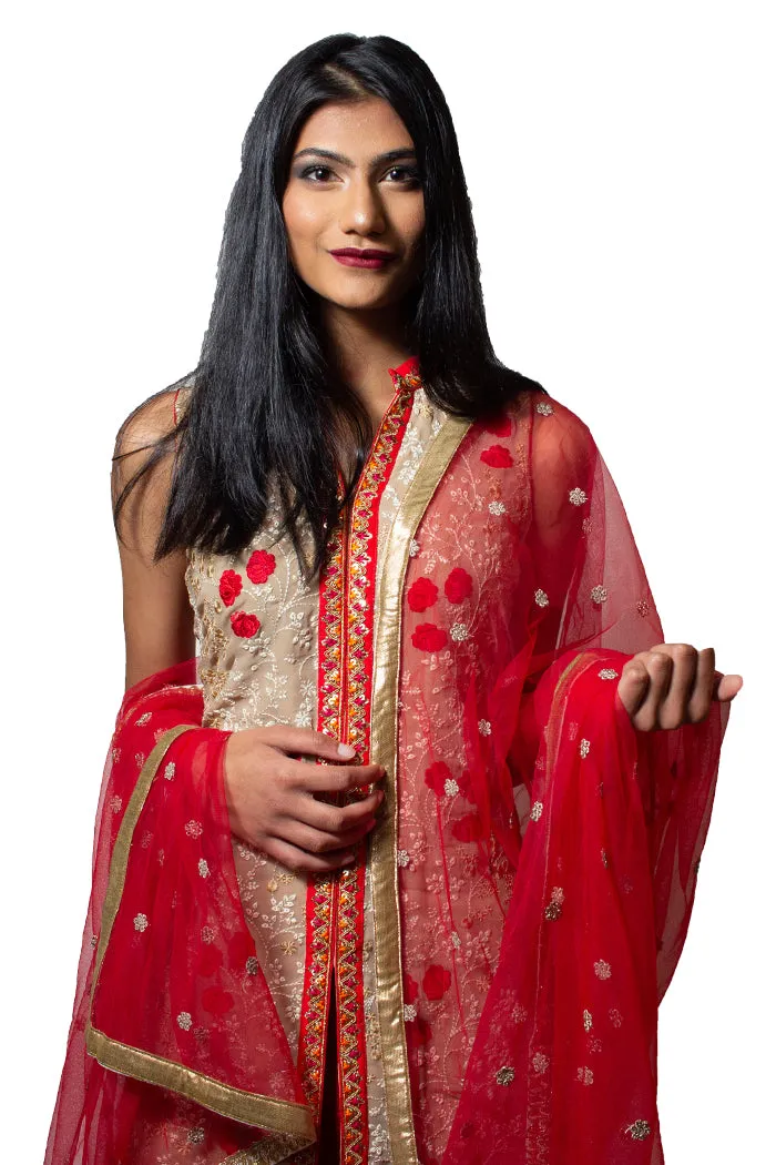 Beige And Red Elegant Lehenga Set - Rent