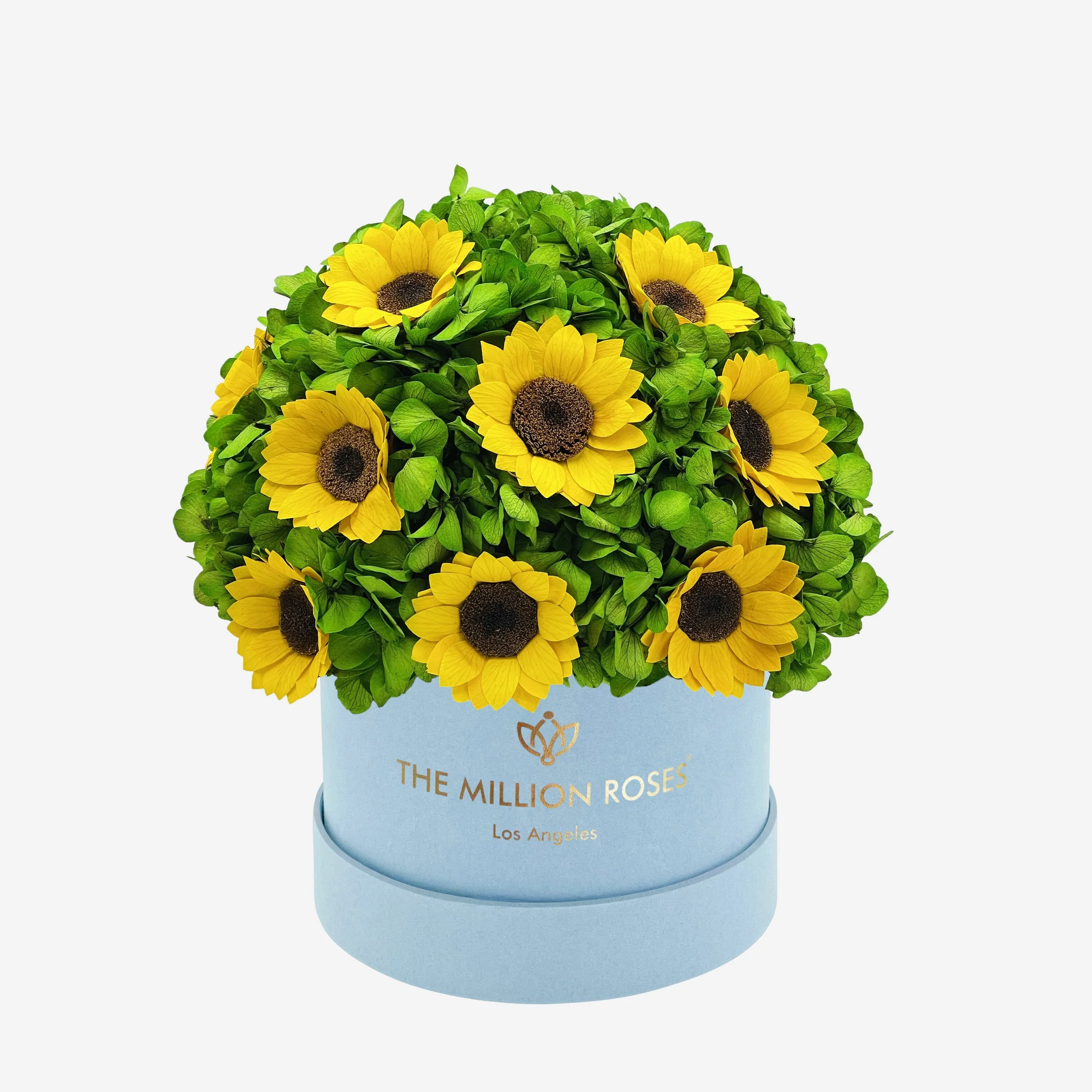 Classic Light Blue Suede Box | Green Hydrangeas & Sunflowers