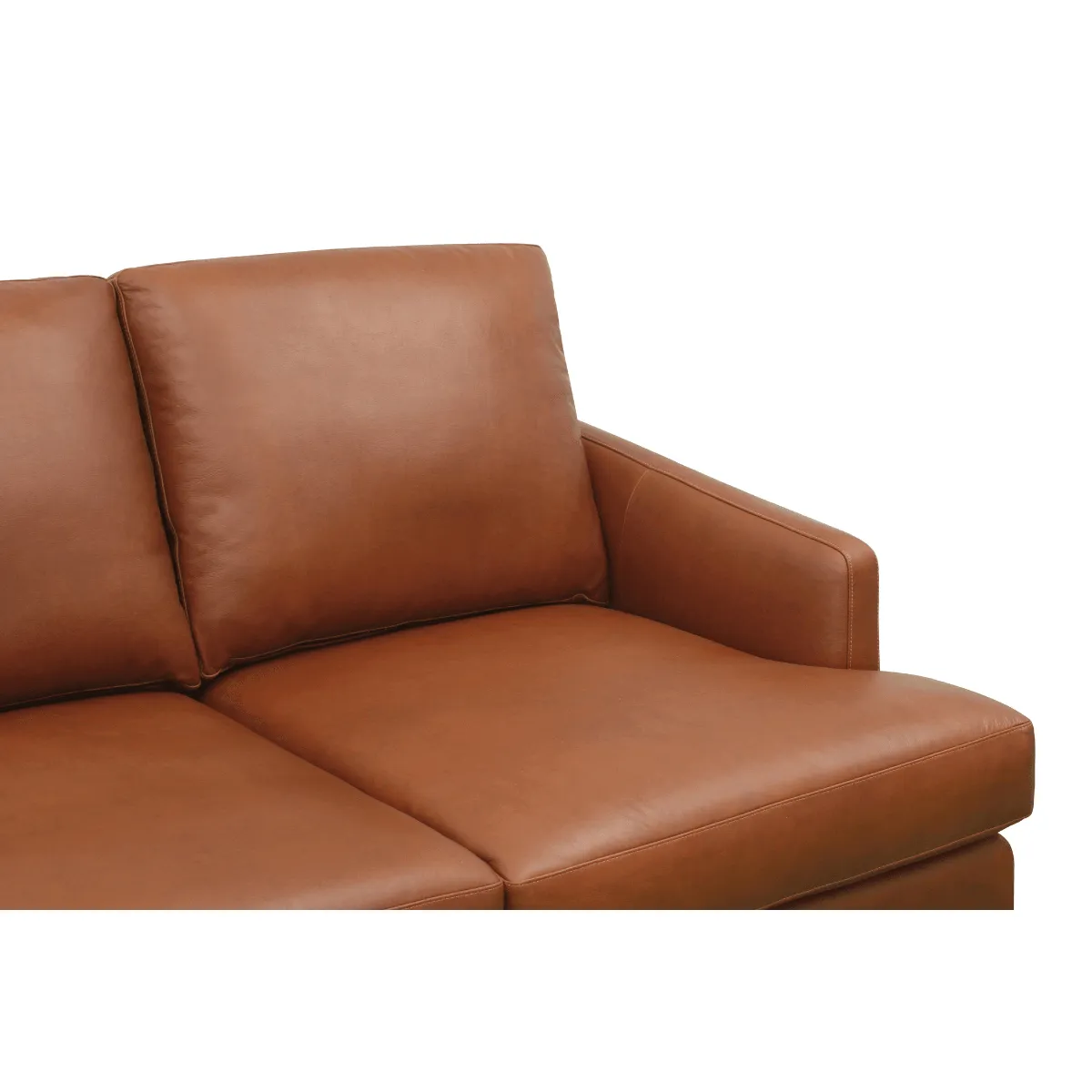 Collins Premium Aniline Leather Sofa by Chattel