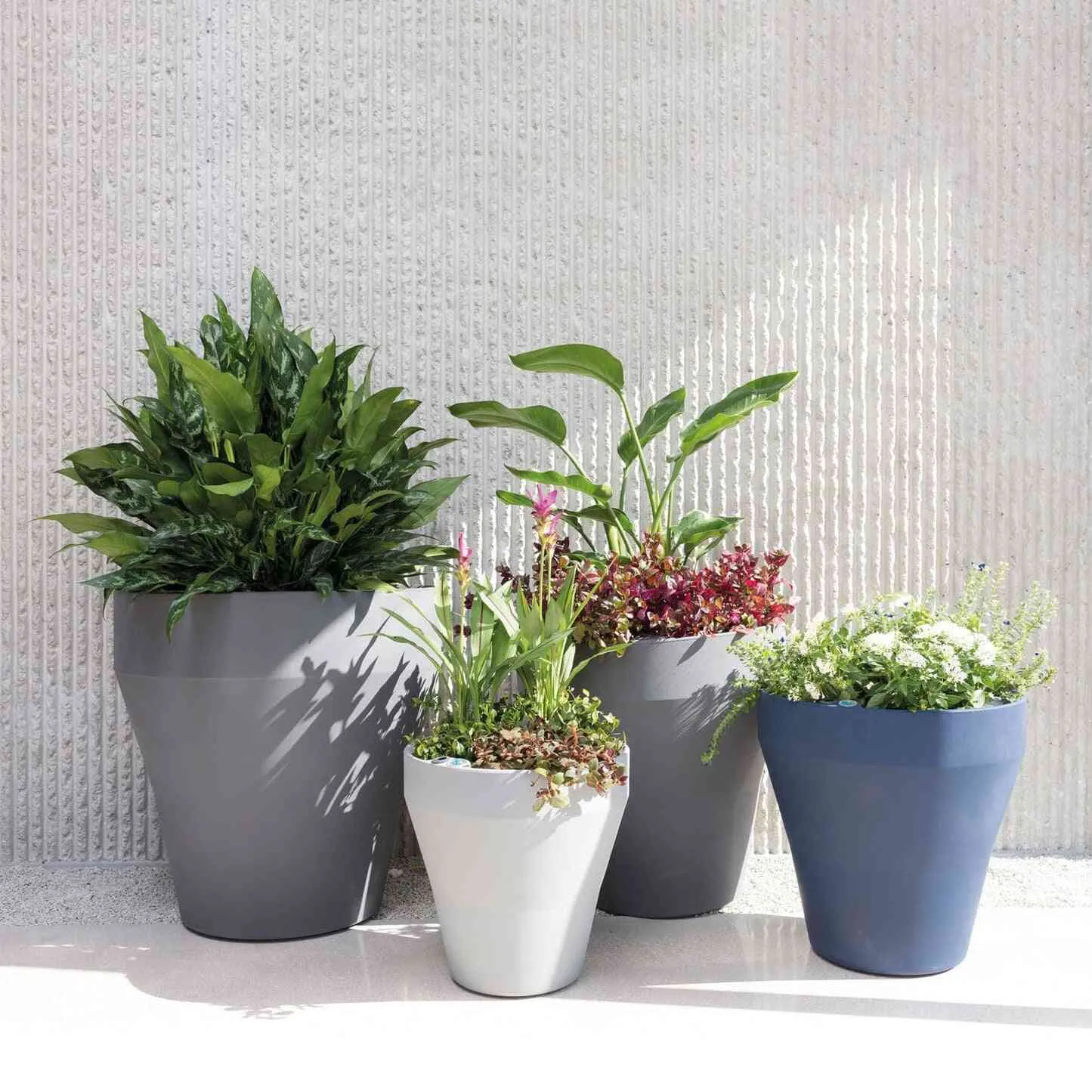 Rim Modern Self Watering Planter